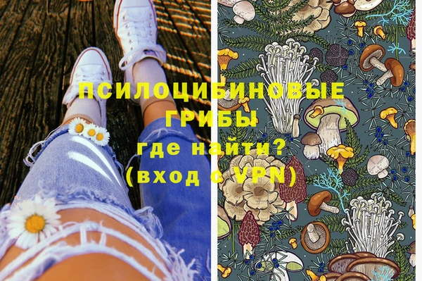 прущие грибы Зеленодольск