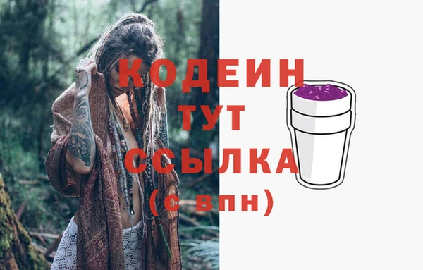 прущие грибы Зеленодольск
