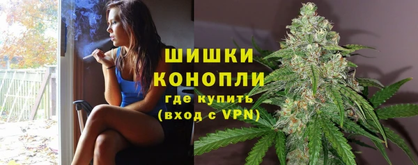 прущие грибы Зеленодольск